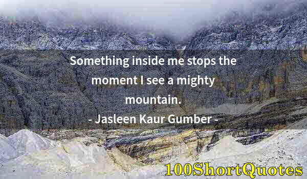 Quote by Albert Einstein: Something inside me stops the moment I see a mighty mountain.