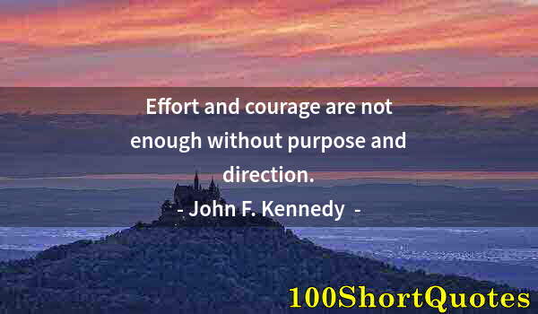 Quote by Albert Einstein: Effort and courage are not enough without purpose and direction.