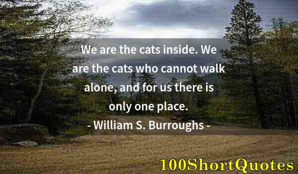 Quote by Albert Einstein: We are the cats inside. We are the cats who cannot walk alone, and for us there is only one place.