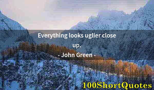 Quote by Albert Einstein: Everything looks uglier close up.