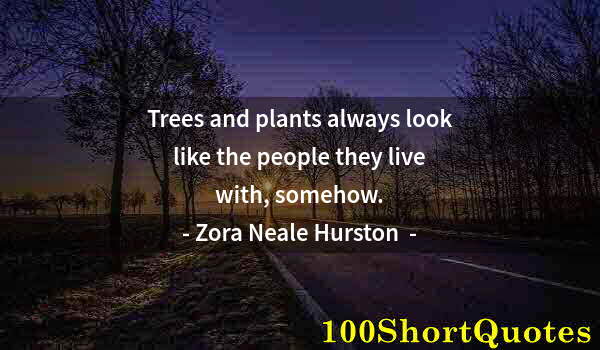 Quote by Albert Einstein: Trees and plants always look like the people they live with, somehow.