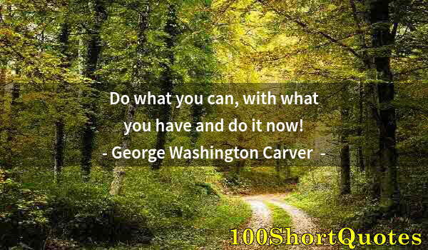 Quote by Albert Einstein: Do what you can, with what you have and do it now!