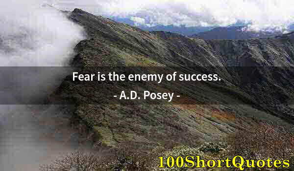 Quote by Albert Einstein: Fear is the enemy of success.