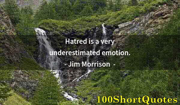 Quote by Albert Einstein: Hatred is a very underestimated emotion.