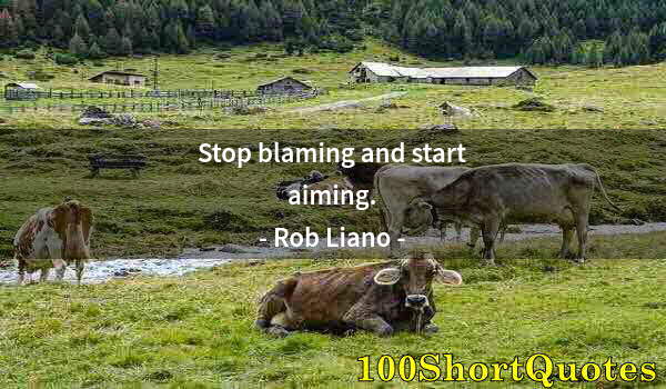 Quote by Albert Einstein: Stop blaming and start aiming.