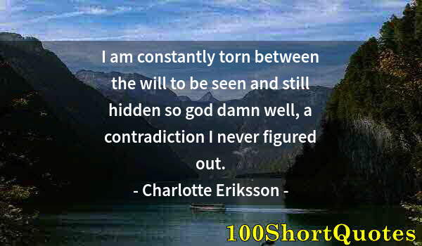 Quote by Albert Einstein: I am constantly torn between the will to be seen and still hidden so god damn well, a contradiction ...