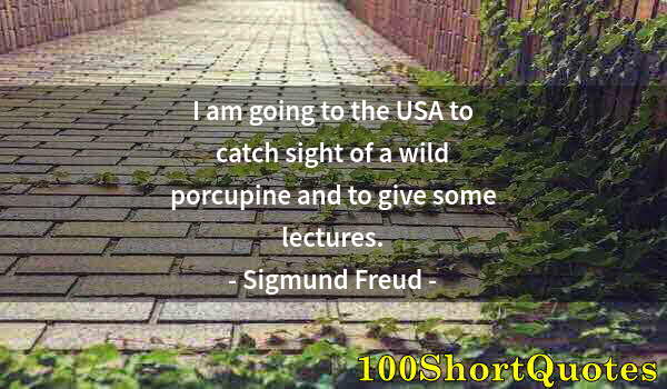 Quote by Albert Einstein: I am going to the USA to catch sight of a wild porcupine and to give some lectures.