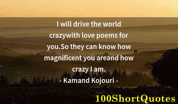 Quote by Albert Einstein: I will drive the world crazywith love poems for you.So they can know how magnificent you areand how ...