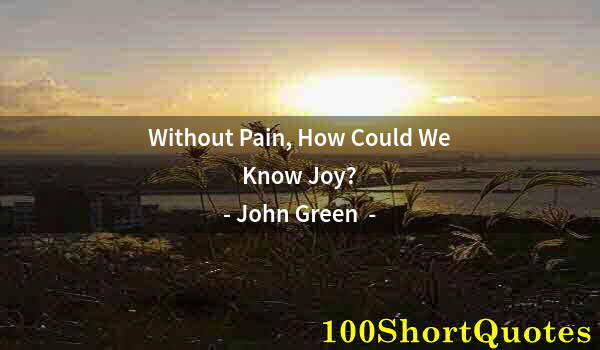 Quote by Albert Einstein: Without Pain, How Could We Know Joy?