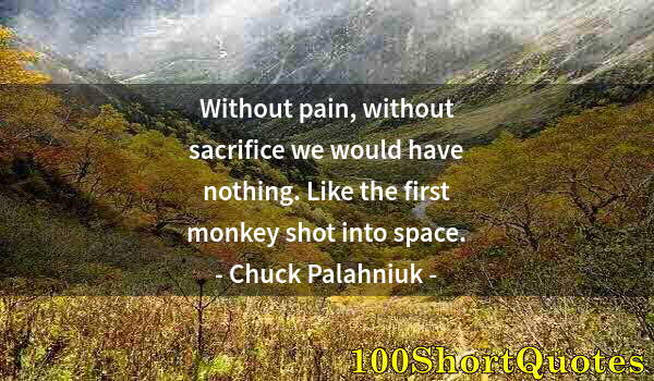 Quote by Albert Einstein: Without pain, without sacrifice we would have nothing. Like the first monkey shot into space.