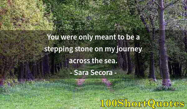 Quote by Albert Einstein: You were only meant to be a stepping stone on my journey across the sea.