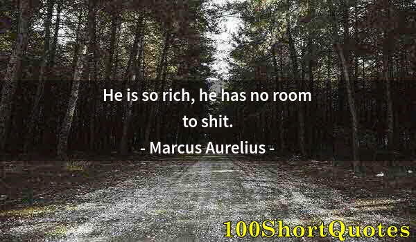 Quote by Albert Einstein: He is so rich, he has no room to shit.