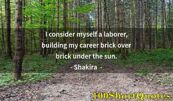 Quote by Albert Einstein: I consider myself a laborer, building my career brick over brick under the sun.