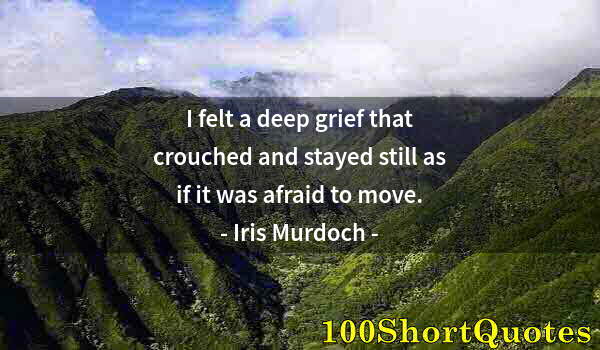 Quote by Albert Einstein: I felt a deep grief that crouched and stayed still as if it was afraid to move.