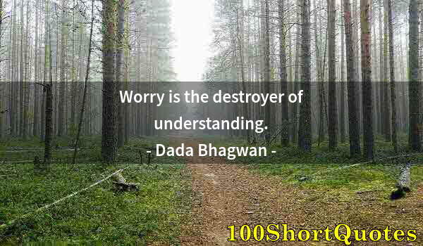 Quote by Albert Einstein: Worry is the destroyer of understanding.