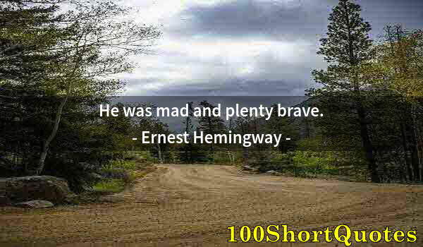 Quote by Albert Einstein: He was mad and plenty brave.