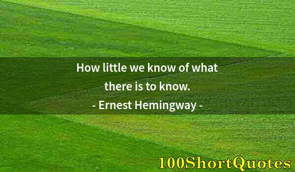 Quote by Albert Einstein: How little we know of what there is to know.