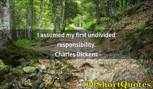 Quote by Albert Einstein: I assumed my first undivided responsibility.