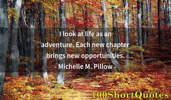 Quote by Albert Einstein: I look at life as an adventure. Each new chapter brings new opportunities.