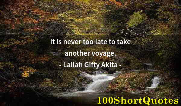 Quote by Albert Einstein: It is never too late to take another voyage.