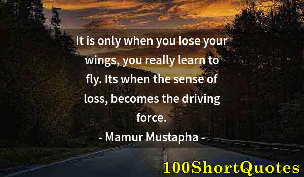 Quote by Albert Einstein: It is only when you lose your wings, you really learn to fly. Its when the sense of loss, becomes th...