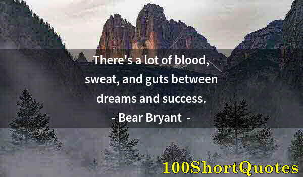 Quote by Albert Einstein: There's a lot of blood, sweat, and guts between dreams and success.