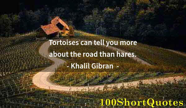 Quote by Albert Einstein: Tortoises can tell you more about the road than hares.