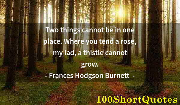 Quote by Albert Einstein: Two things cannot be in one place. Where you tend a rose, my lad, a thistle cannot grow.