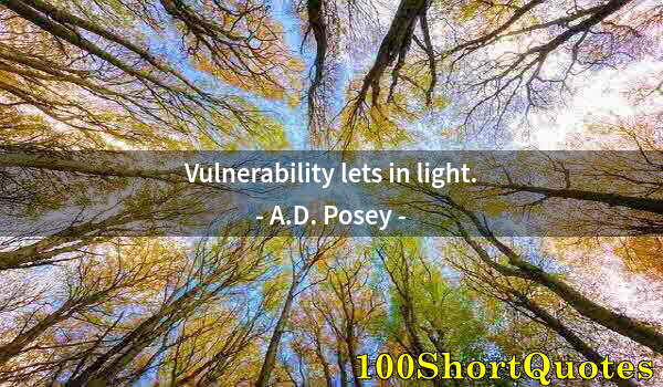 Quote by Albert Einstein: Vulnerability lets in light.