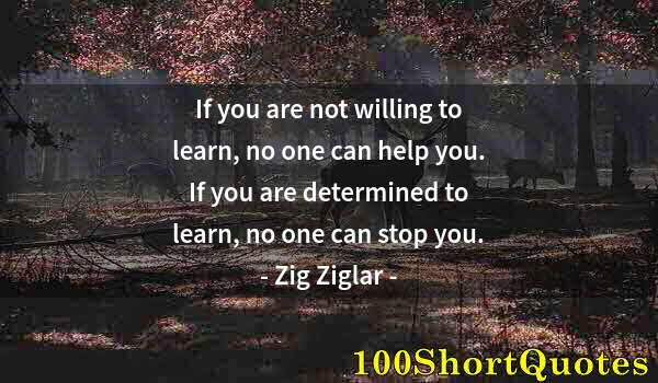 Quote by Albert Einstein: If you are not willing to learn, no one can help you. If you are determined to learn, no one can sto...