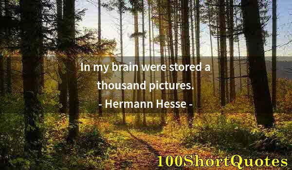 Quote by Albert Einstein: In my brain were stored a thousand pictures.