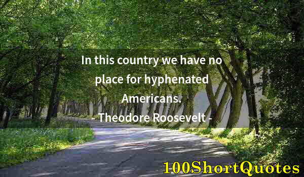 Quote by Albert Einstein: In this country we have no place for hyphenated Americans.