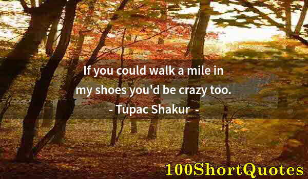 Quote by Albert Einstein: If you could walk a mile in my shoes you'd be crazy too.