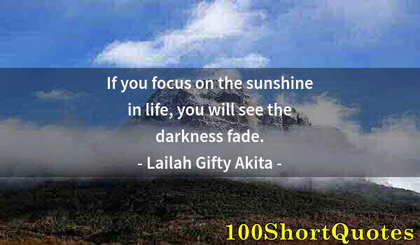 Quote by Albert Einstein: If you focus on the sunshine in life, you will see the darkness fade.