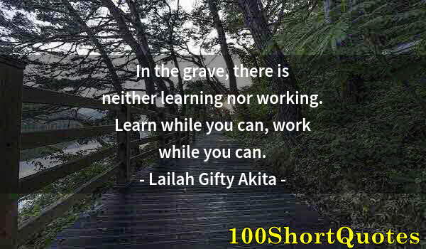 Quote by Albert Einstein: In the grave, there is neither learning nor working. Learn while you can, work while you can.