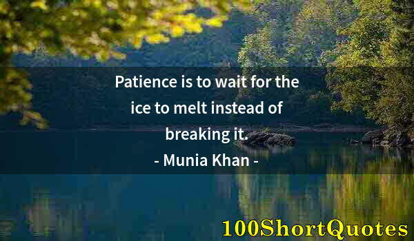 Quote by Albert Einstein: Patience is to wait for the ice to melt instead of breaking it.