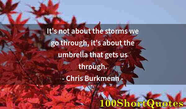 Quote by Albert Einstein: It's not about the storms we go through, it's about the umbrella that gets us through.