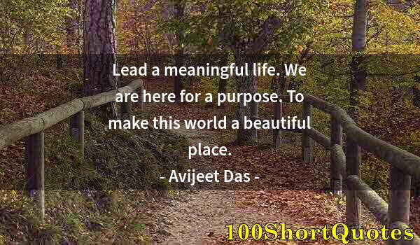 Quote by Albert Einstein: Lead a meaningful life. We are here for a purpose. To make this world a beautiful place.