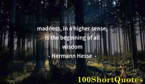 Quote by Albert Einstein: madness, in a higher sense, is the beginning of all wisdom