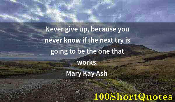 Quote by Albert Einstein: Never give up, because you never know if the next try is going to be the one that works.