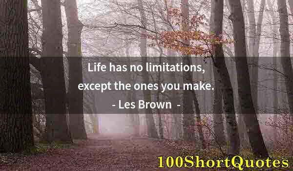 Quote by Albert Einstein: Life has no limitations, except the ones you make.