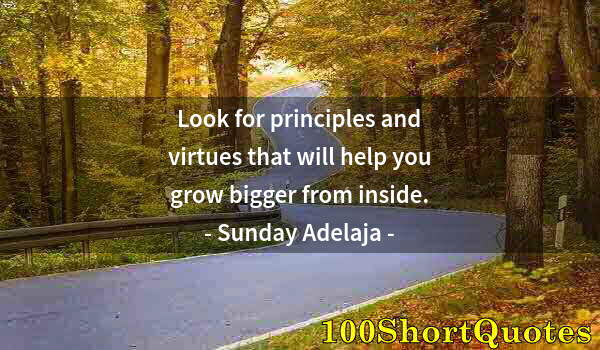 Quote by Albert Einstein: Look for principles and virtues that will help you grow bigger from inside.