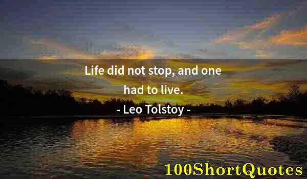 Quote by Albert Einstein: Life did not stop, and one had to live.