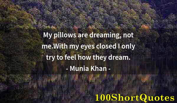 Quote by Albert Einstein: My pillows are dreaming, not me.With my eyes closed I only try to feel how they dream.