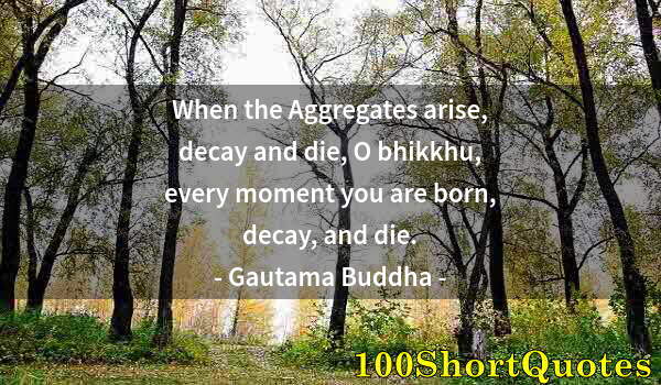 Quote by Albert Einstein: When the Aggregates arise, decay and die, O bhikkhu, every moment you are born, decay, and die.