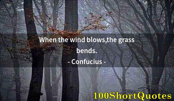 Quote by Albert Einstein: When the wind blows,the grass bends.