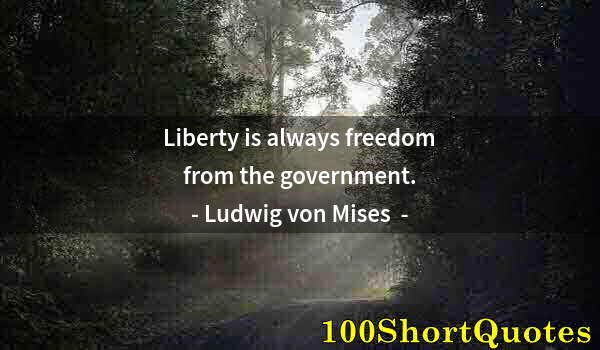 Quote by Albert Einstein: Liberty is always freedom from the government.