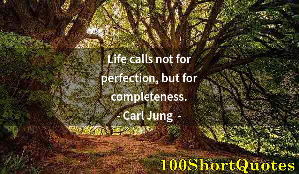 Quote by Albert Einstein: Life calls not for perfection, but for completeness.