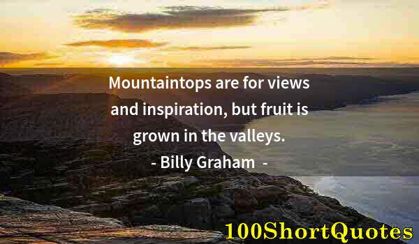 Quote by Albert Einstein: Mountaintops are for views and inspiration, but fruit is grown in the valleys.