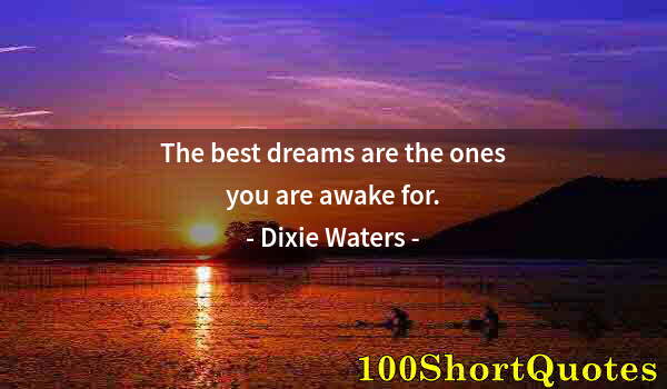 Quote by Albert Einstein: The best dreams are the ones you are awake for.